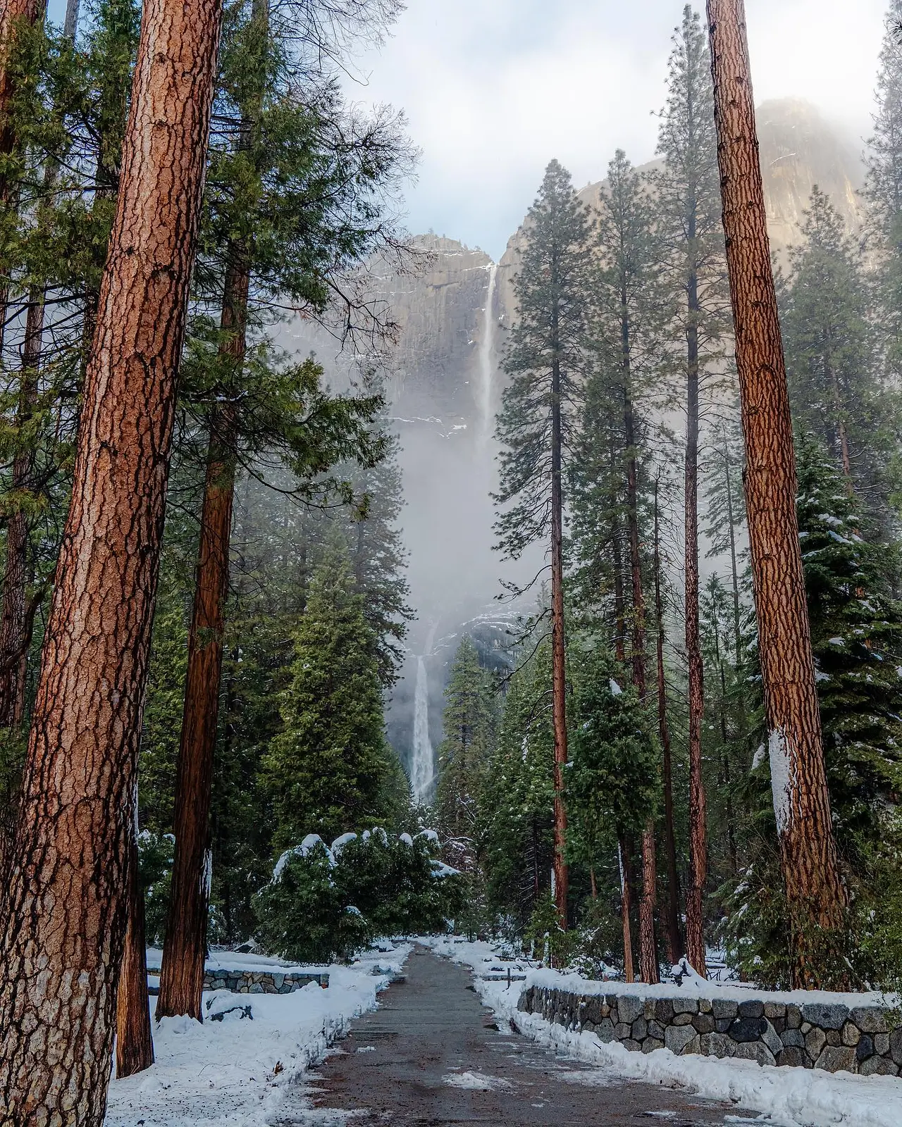 Winter Wonderland: Discover Yosemite National Park's Magic in Winter gallery image 1