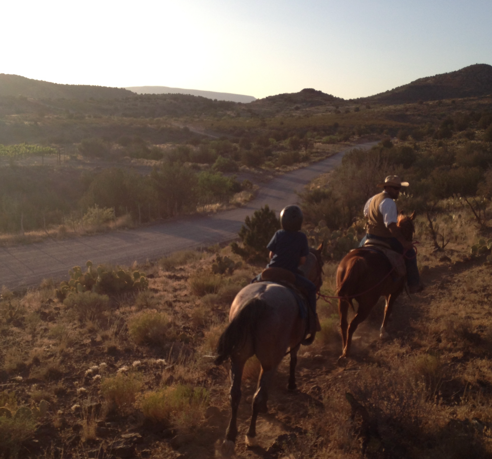 Saddle Up for Scenic Horseback Riding in Cottonwood, Arizona gallery image 2