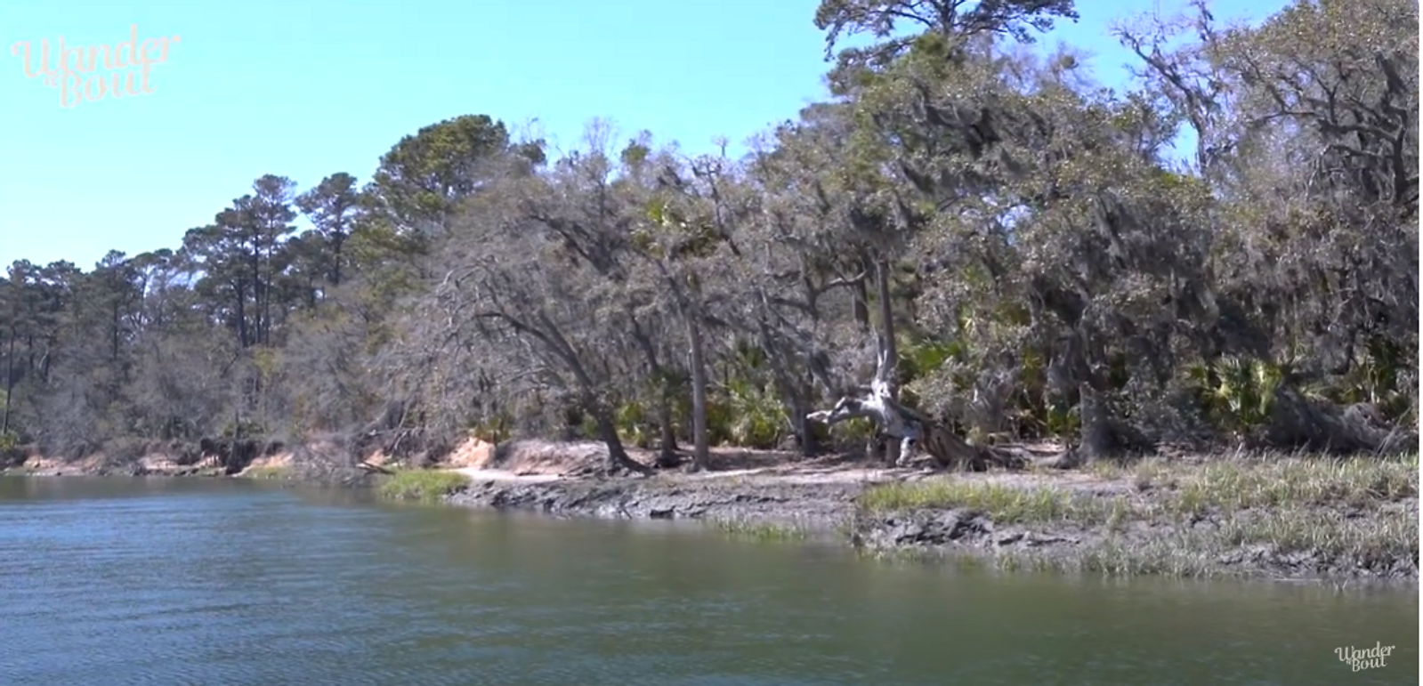 Fishing Adventures at Groves Creek and Skidaway River: A Delightful Day Out