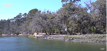 Fishing Adventures at Groves Creek and Skidaway River: A Delightful Day Out