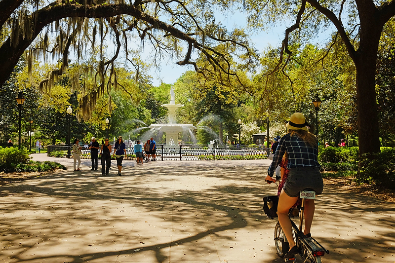 Exploring Savannah by Bike: Scenic Routes for Every Cyclist