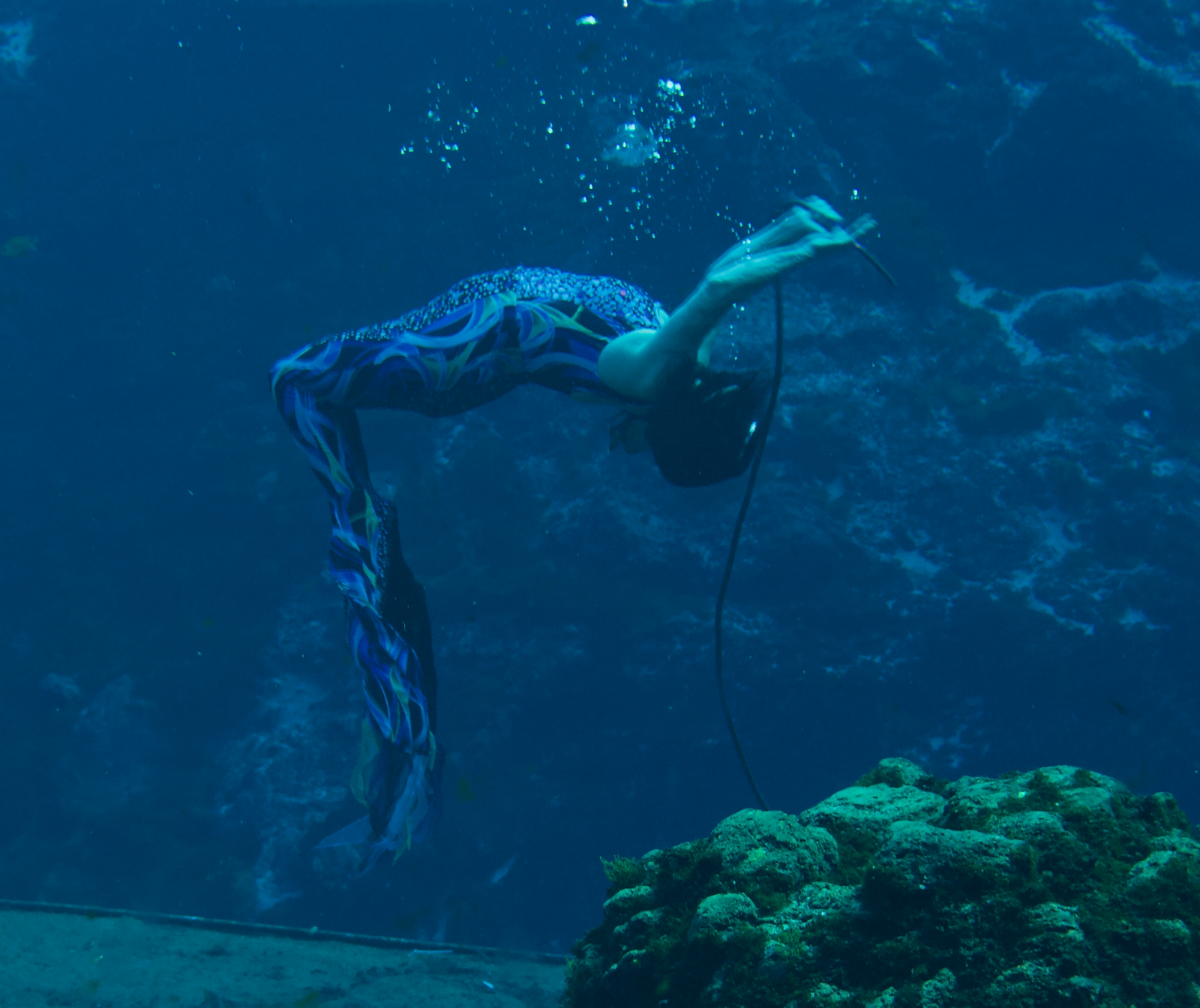 Dive Into Nostalgia at Weeki Wachee Springs, Florida gallery image 1