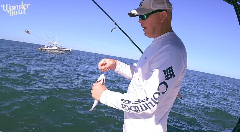 Types of Fish Jeff Has Caught on the Line — Part 2: Adventures from the Florida Keys