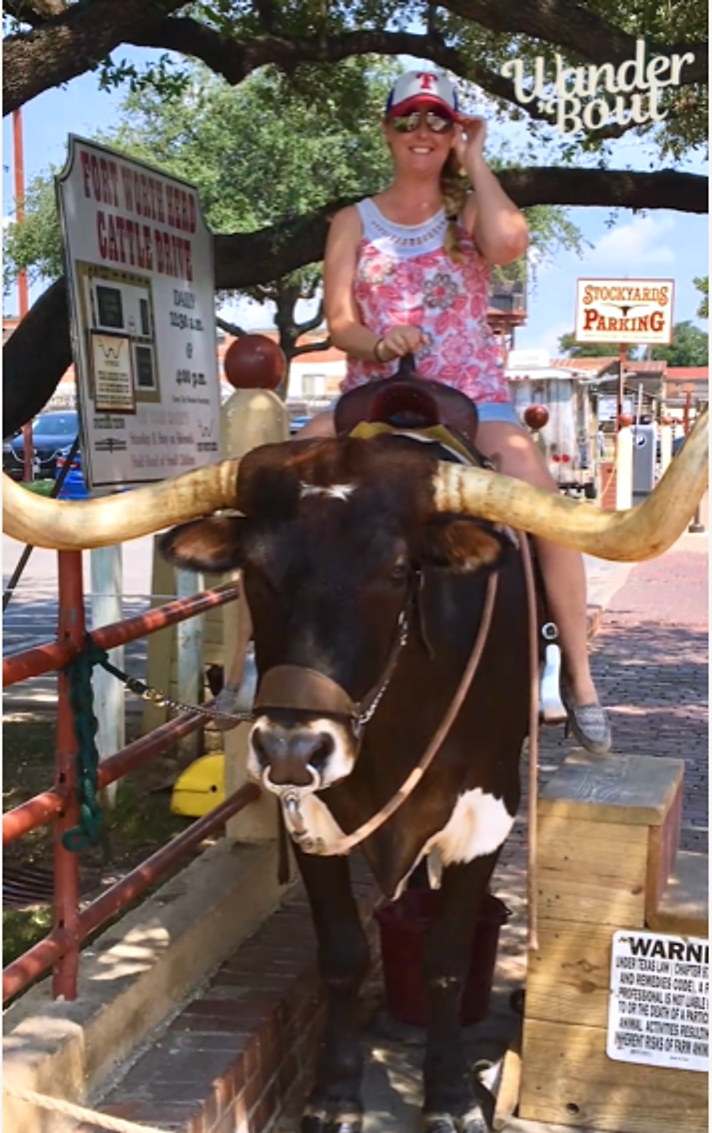 Experience the Fort Worth Cattle Drive: A Slice of the Old West gallery image 1
