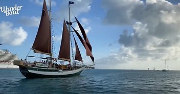 Exploring Hemingway’s Key West Home: Cats, History & Unexpected Surprises