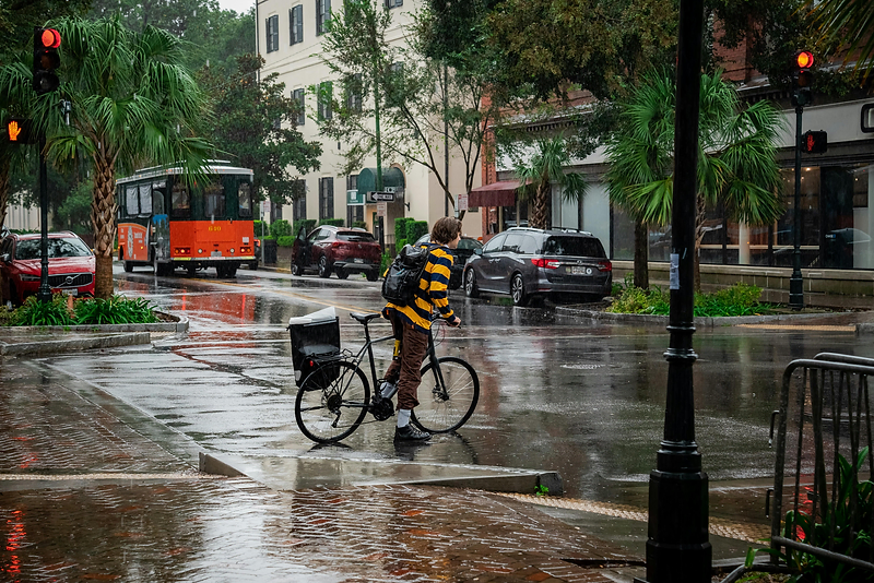 Discovering the Heart of Savannah: Why Local Experiences Matter