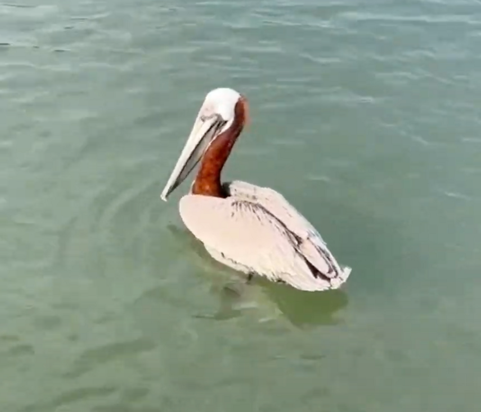 Boat Ramp: The North Causeway Boat Ramp in New Smyrna Beach, FL