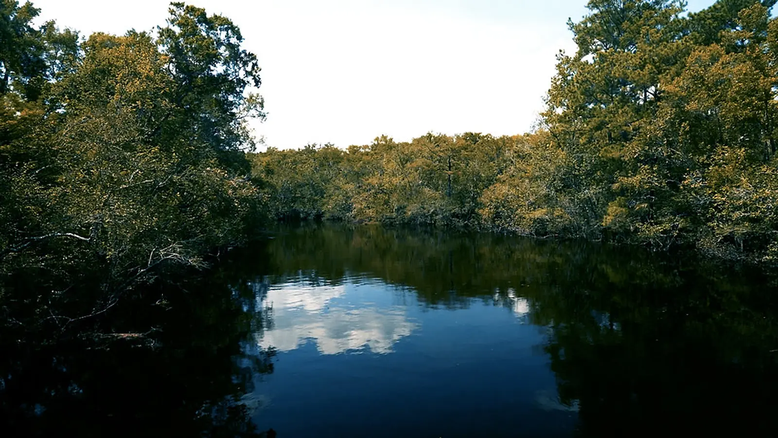 Deer Hunting and Fishing Adventures at Fort Stewart | Wander'Bout Blog