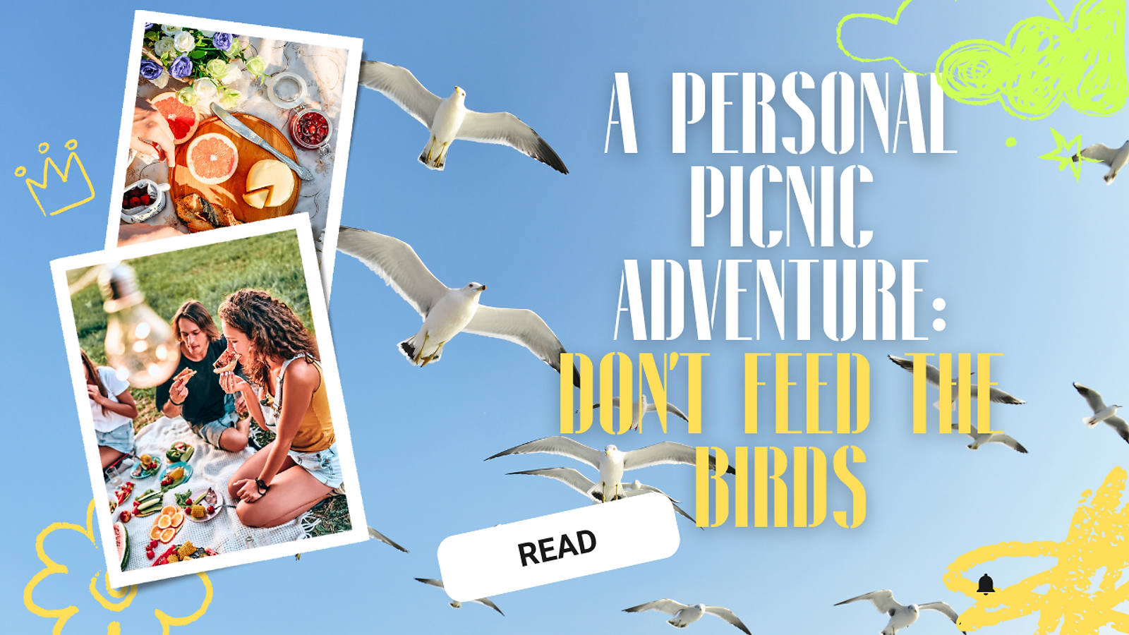 A Personal Picnic Adventure: Don't Feed the Birds