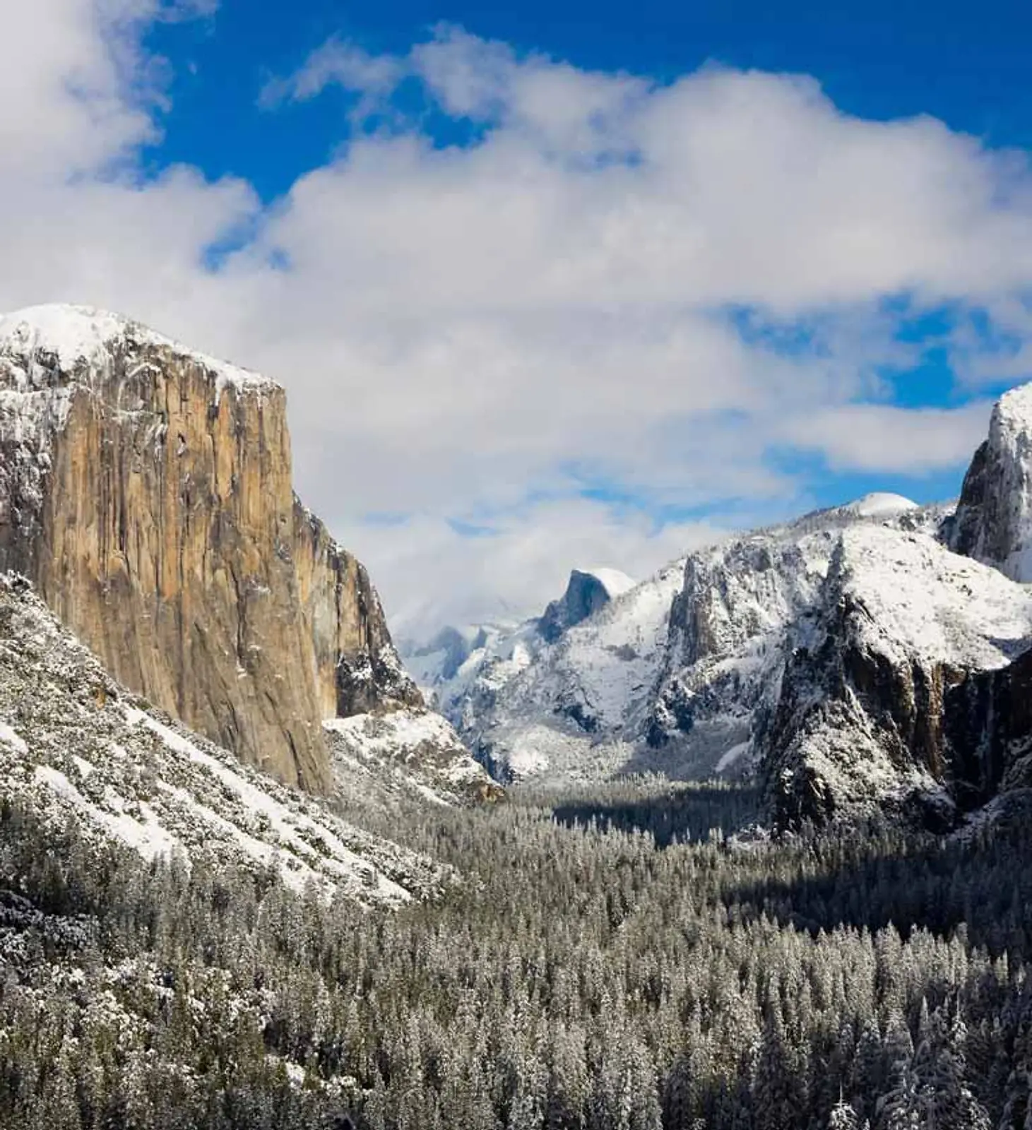 Winter Wonderland: Discover Yosemite National Park's Magic in Winter gallery image 2