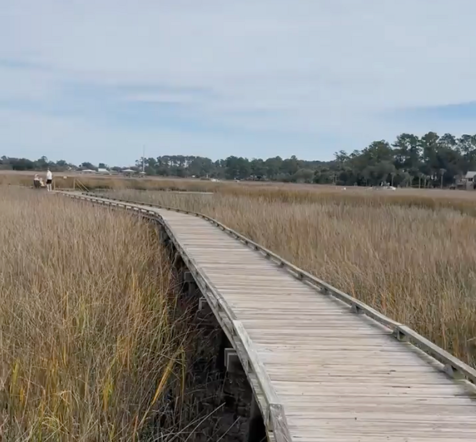 Discover Oatland Wildlife Center: A Savannah Outdoor Adventure gallery image 2