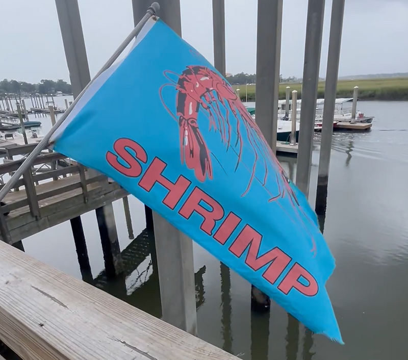 Slippery Day on the Water: Boating Adventure Before Hurricane Helene