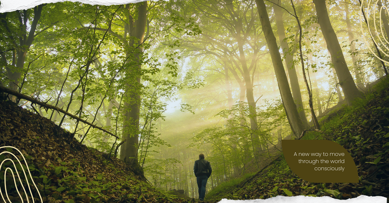 Eco-Friendly Adventures: Sustainable Travel Without Compromising Fun