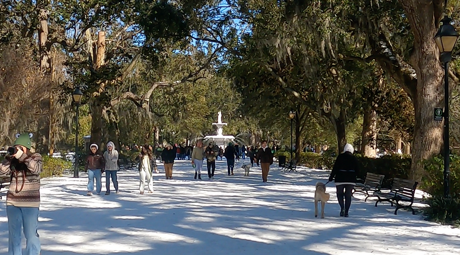 A Rare Savannah Snow Day: Our Winter Wander’Bout Adventure