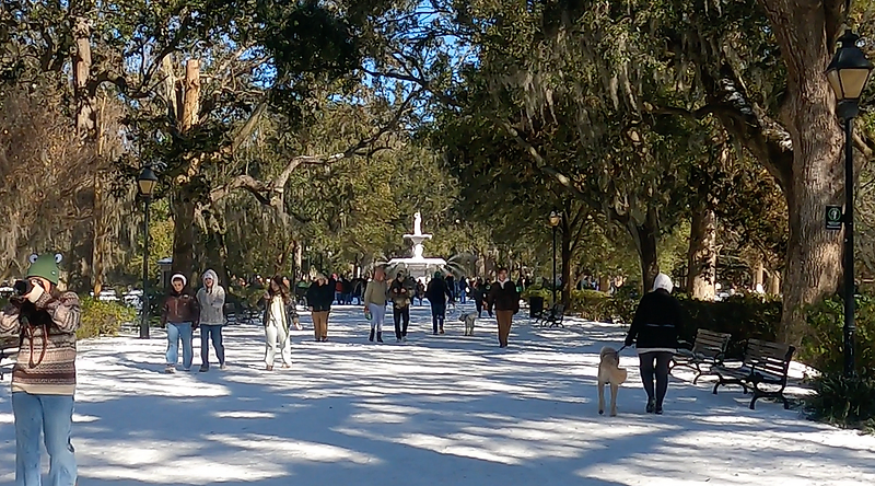 A Rare Savannah Snow Day: Our Winter Wander’Bout Adventure