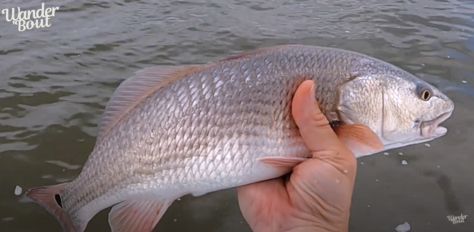 A Fishing Trip in Savannah: Bonding Over Bait and Bloopers