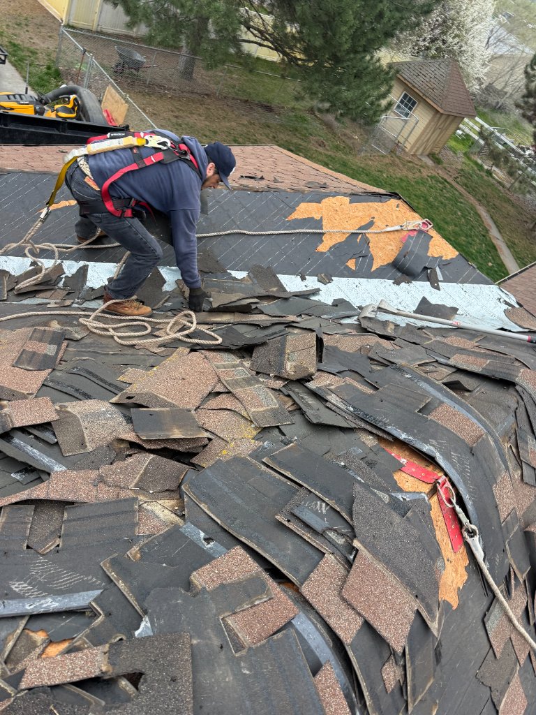 Tear-Off & Repair