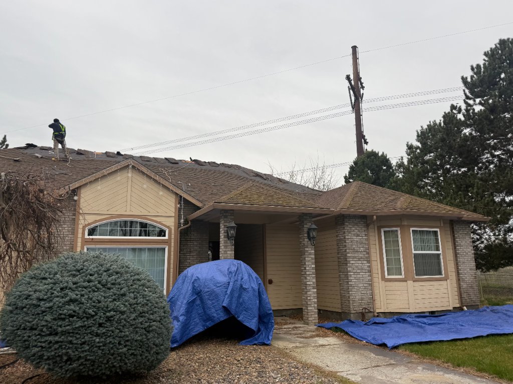 Full Roof Replacement