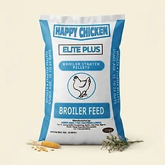 Happy Chicken