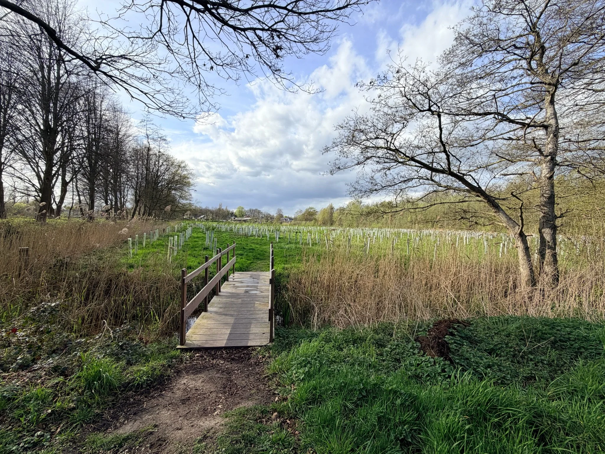 Sfeerbeeld 1