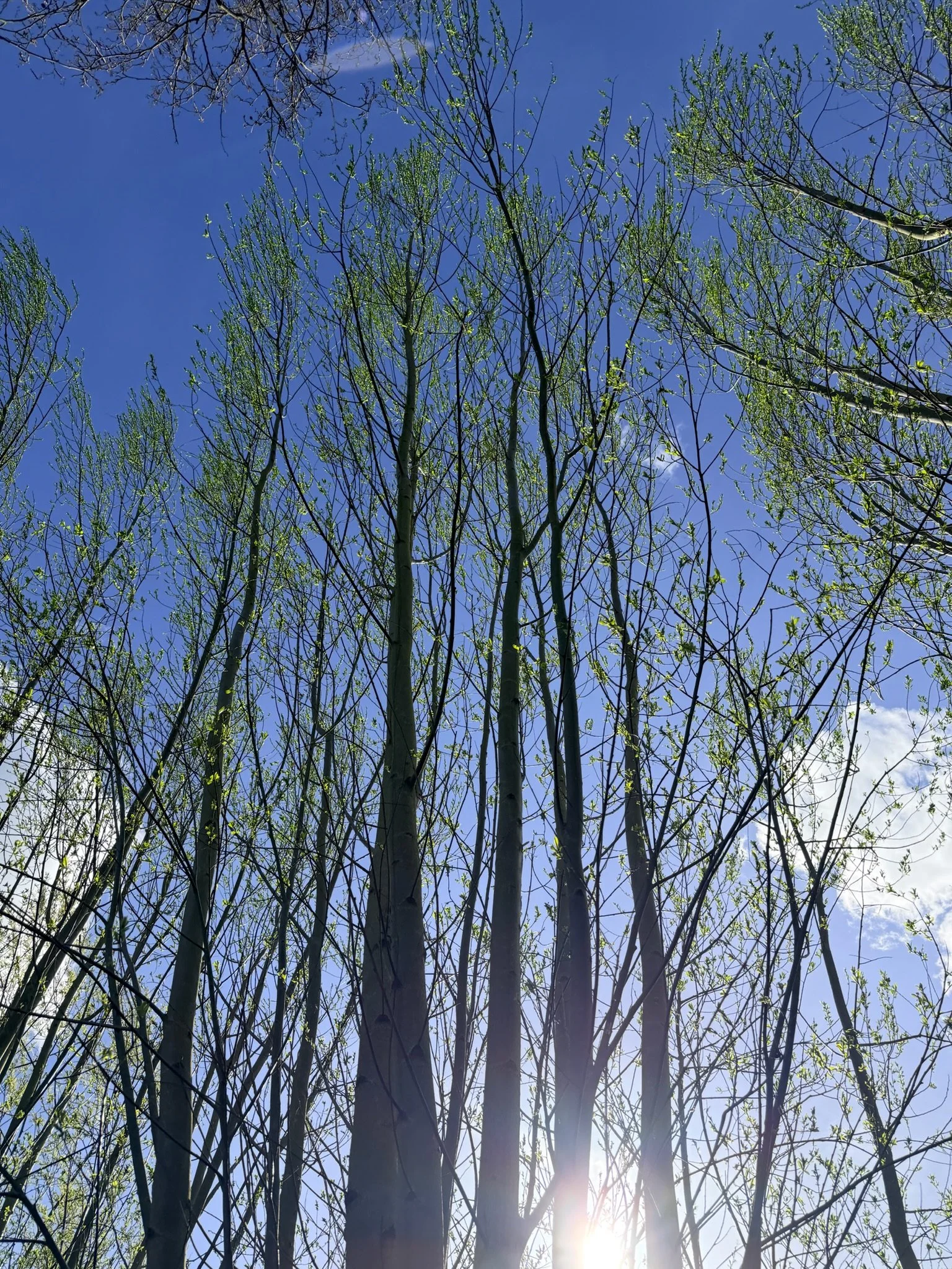 Sfeerbeeld 4