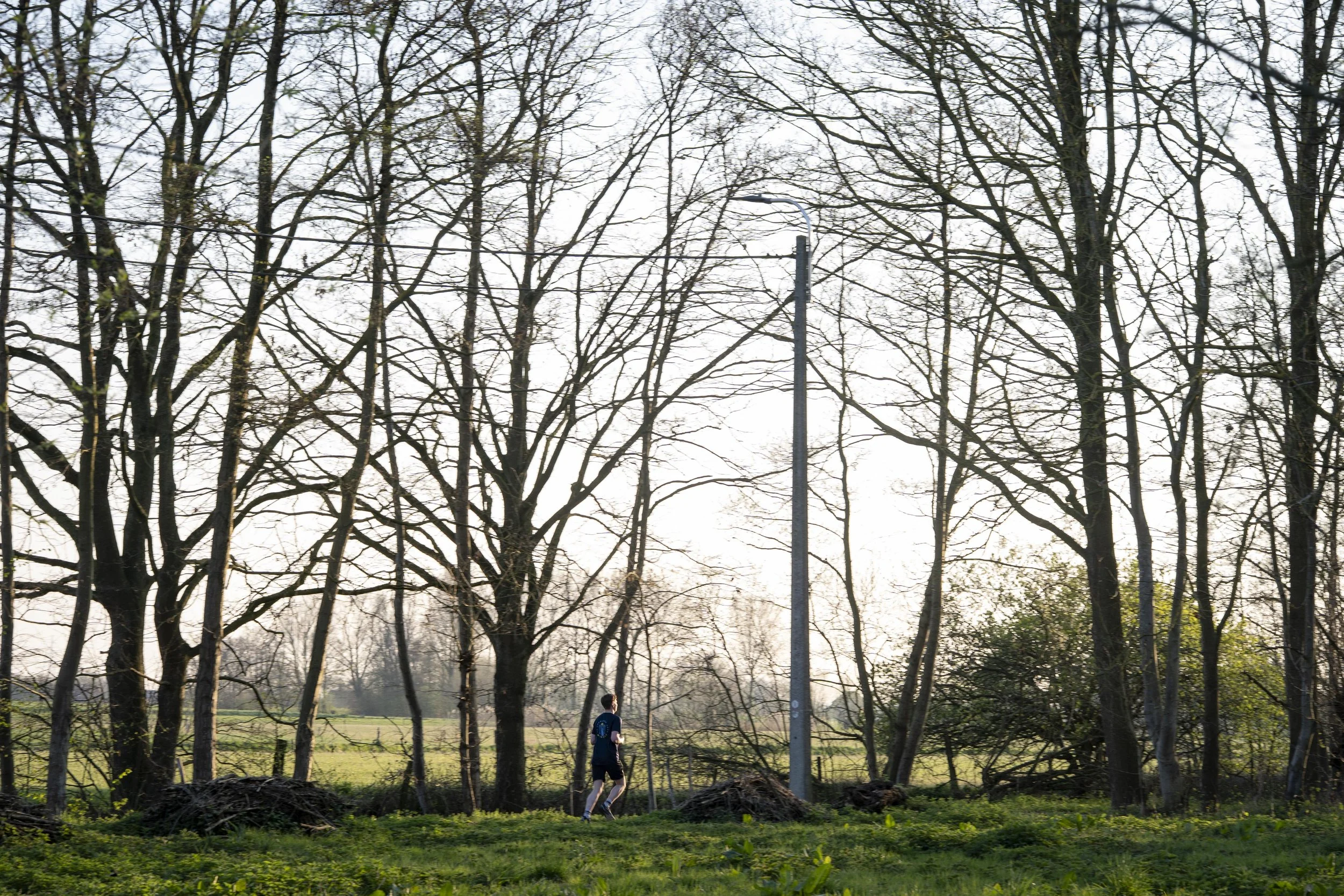 #HetEetveld — de natuur spreekt