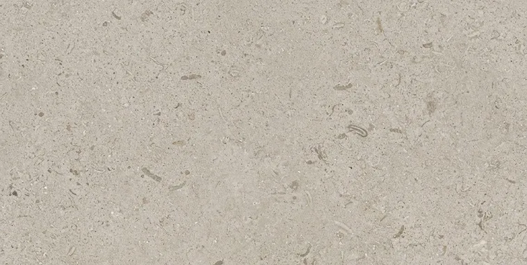 Limestone Wine Wall · Surface detail