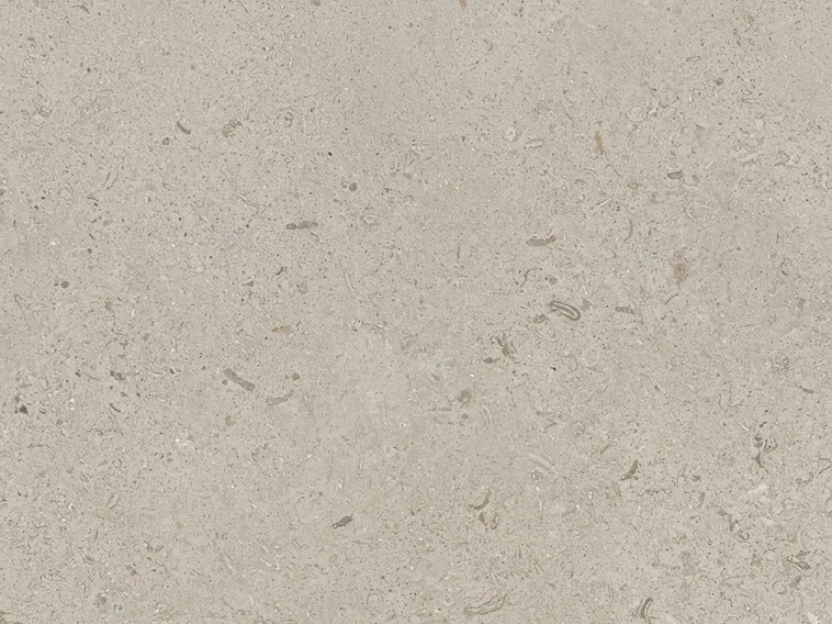 Limestone Wine Wall · Full texture