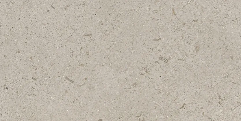 Limestone Wine Wall · Surface detail