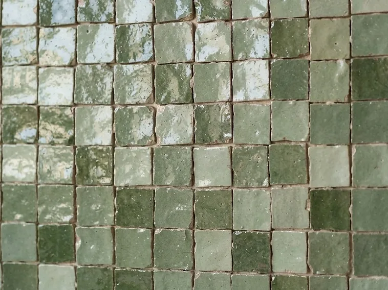 Zellige salvia · Full texture