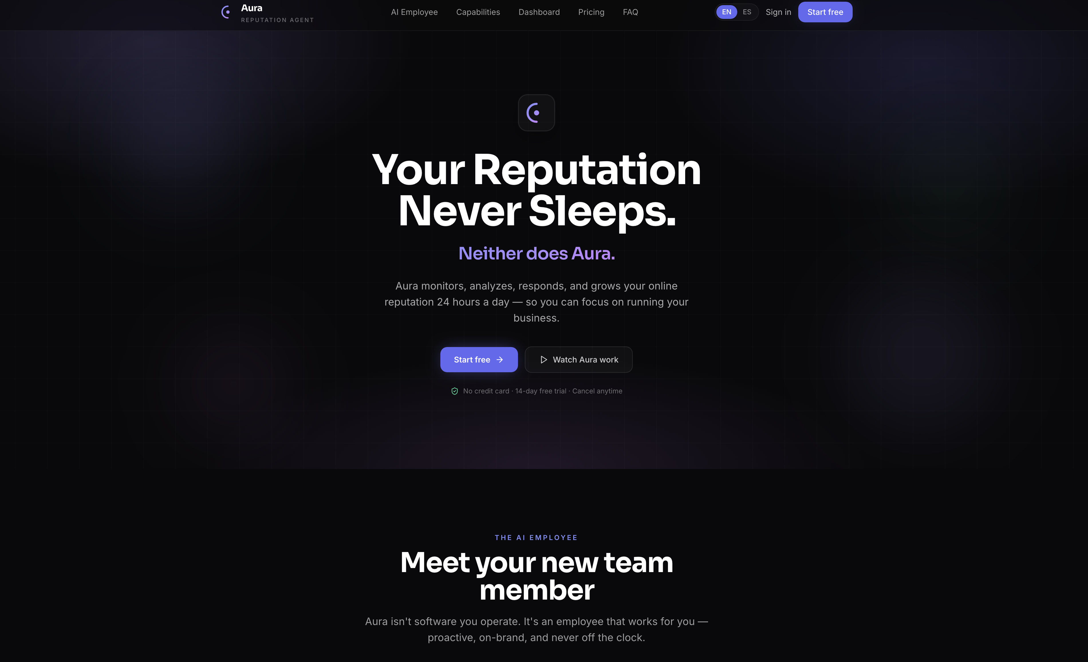 Aurap template preview