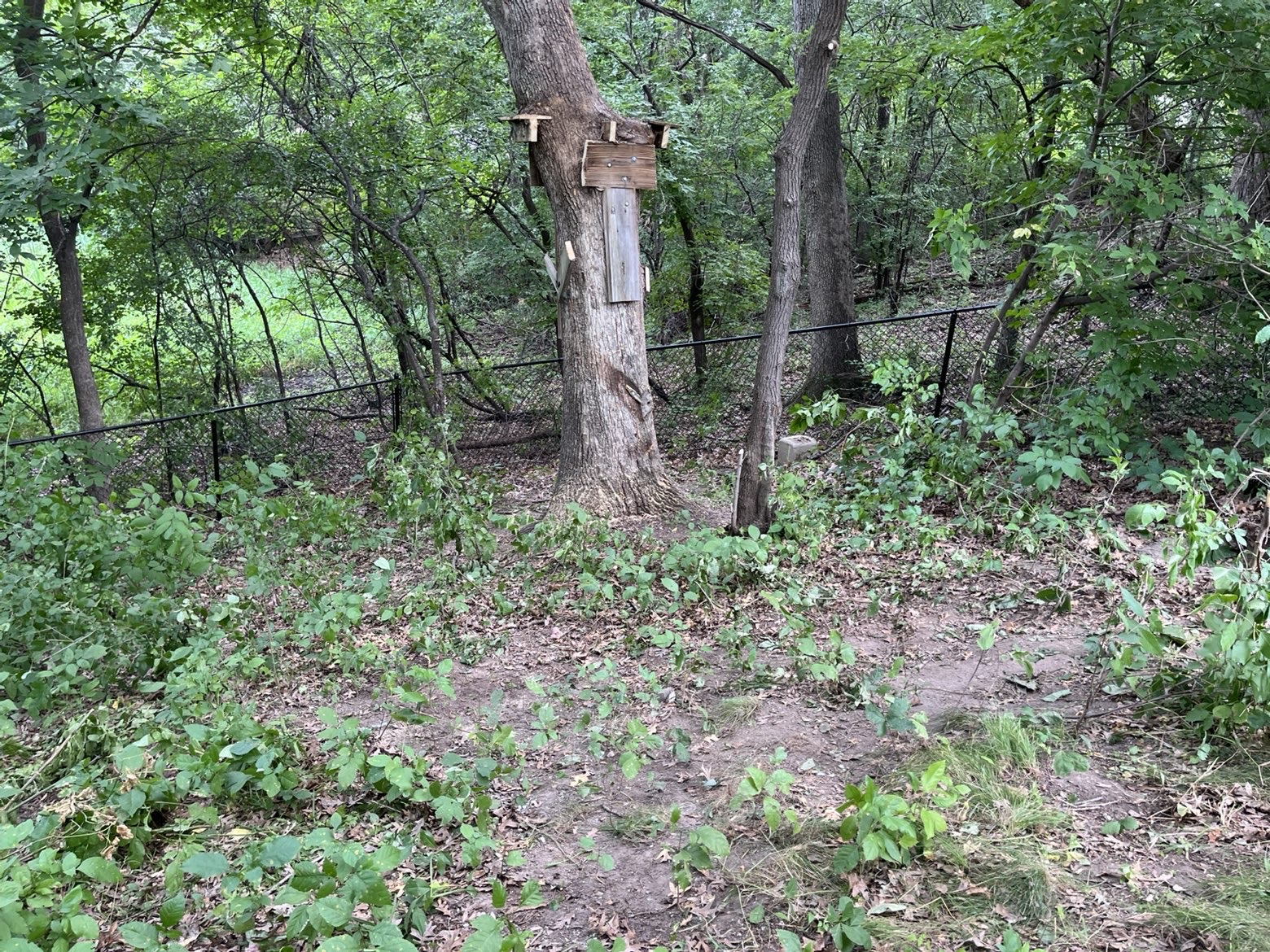 C² Junk Removal after completing playset removal in Elk River, MN