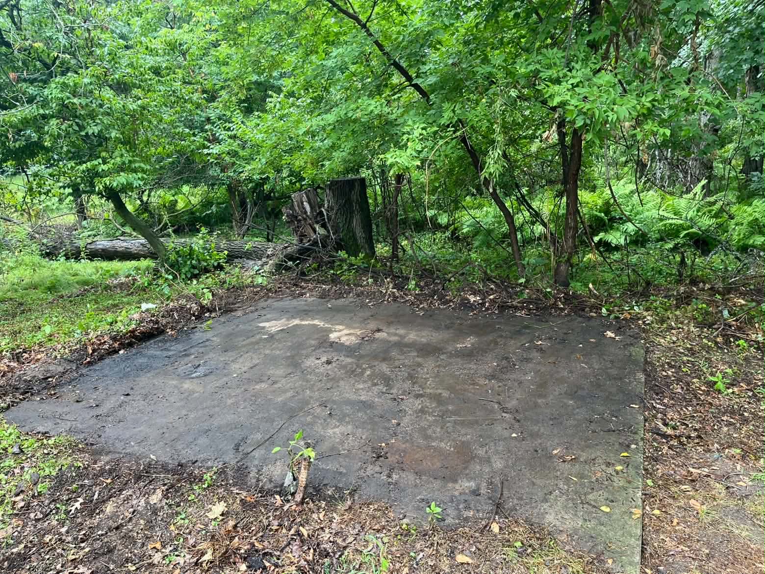 C² Junk Removal after completing shed removal in Cambridge, MN