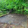 After — Brush Removal in Zimmerman