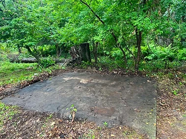After — Shed & Yard Cleanout