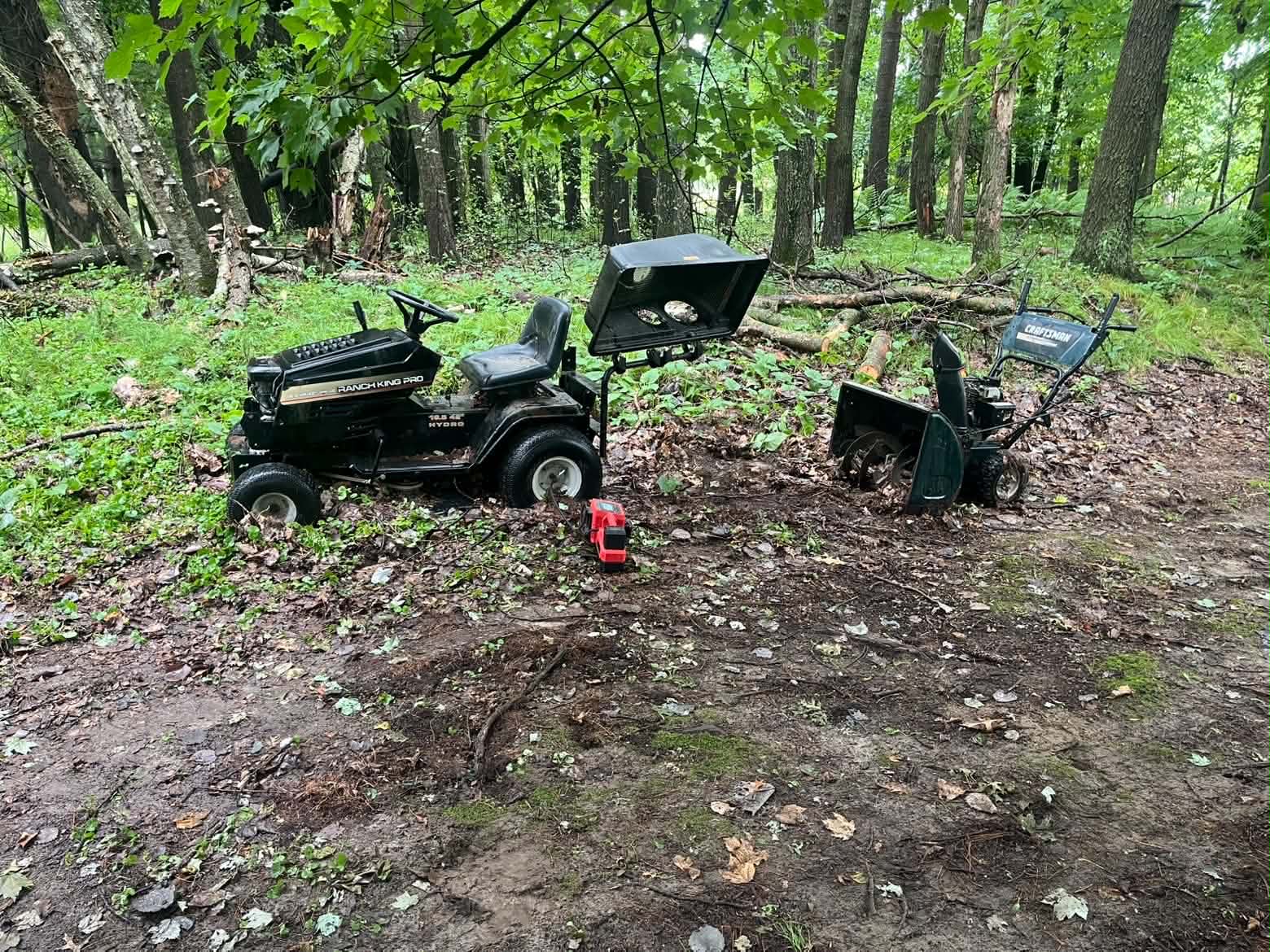 Before — Brush Removal in Zimmerman
