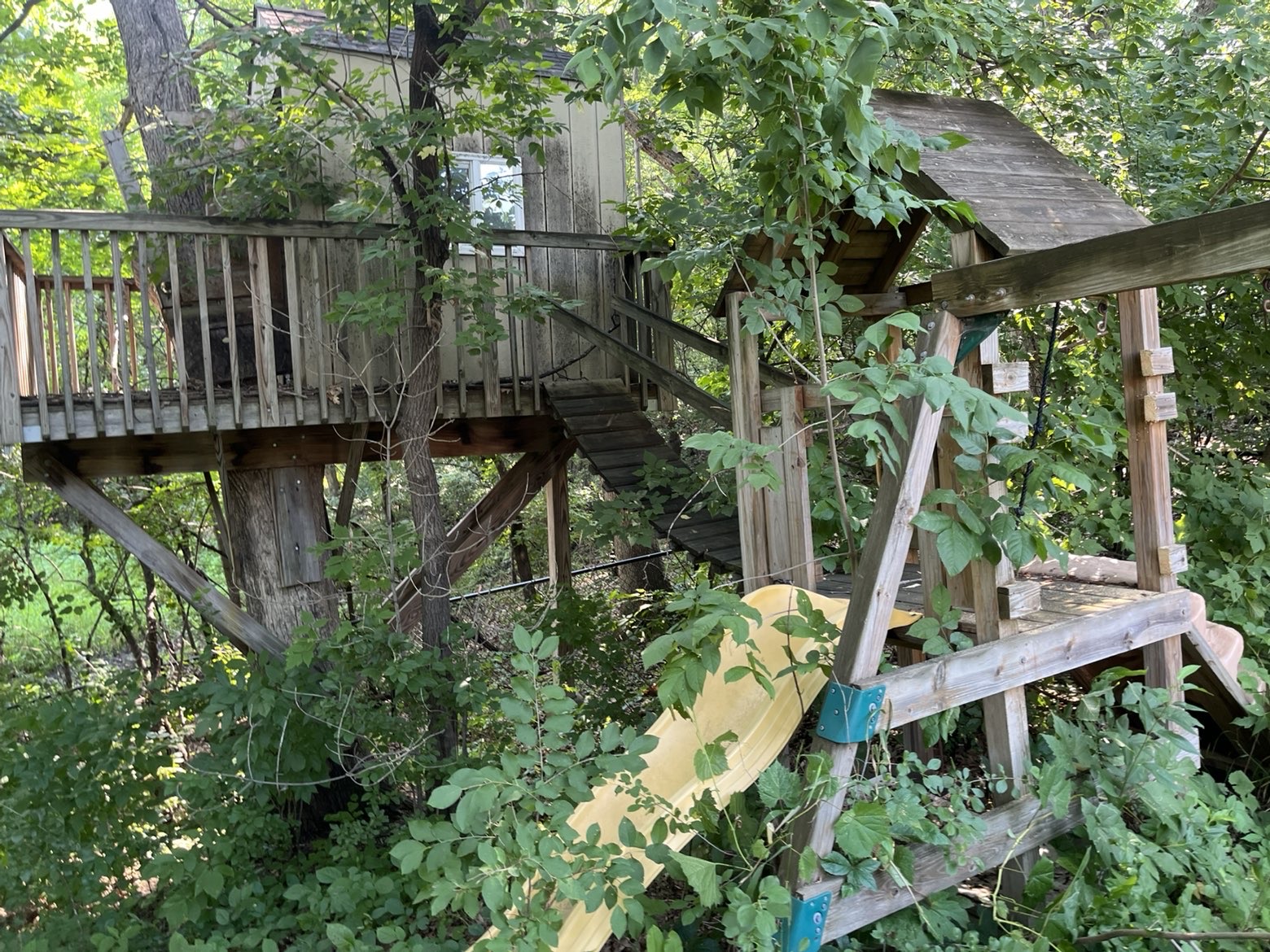 Before — Elycia Treehouse removal