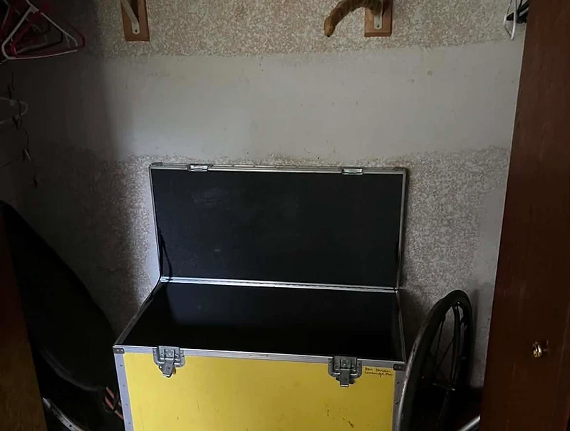 Commercial cleanout