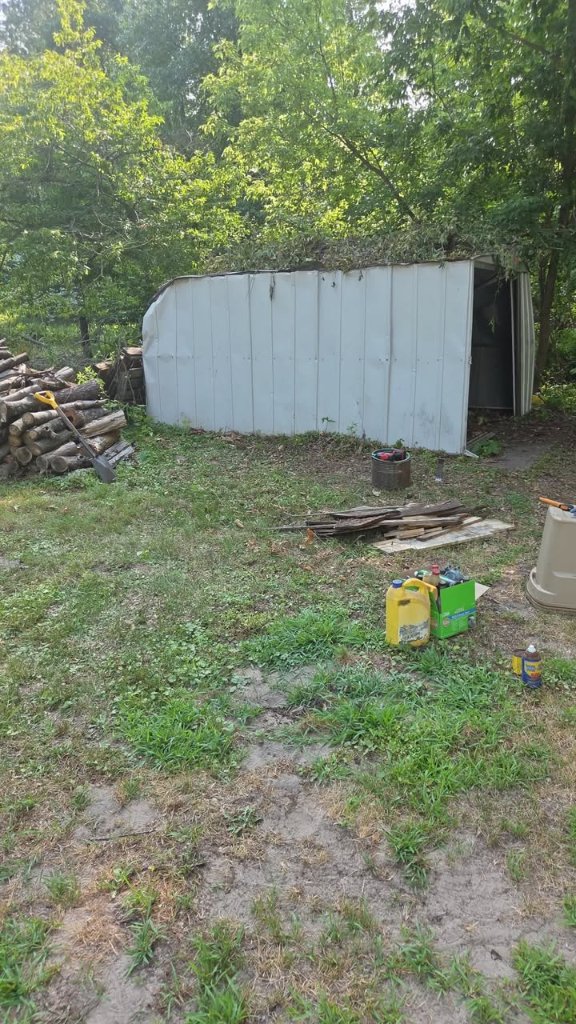 Before — Shed & Yard Cleanout