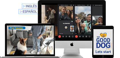 Sesiones online en vivo con familias de distintos países
