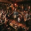The Shameless Few Live