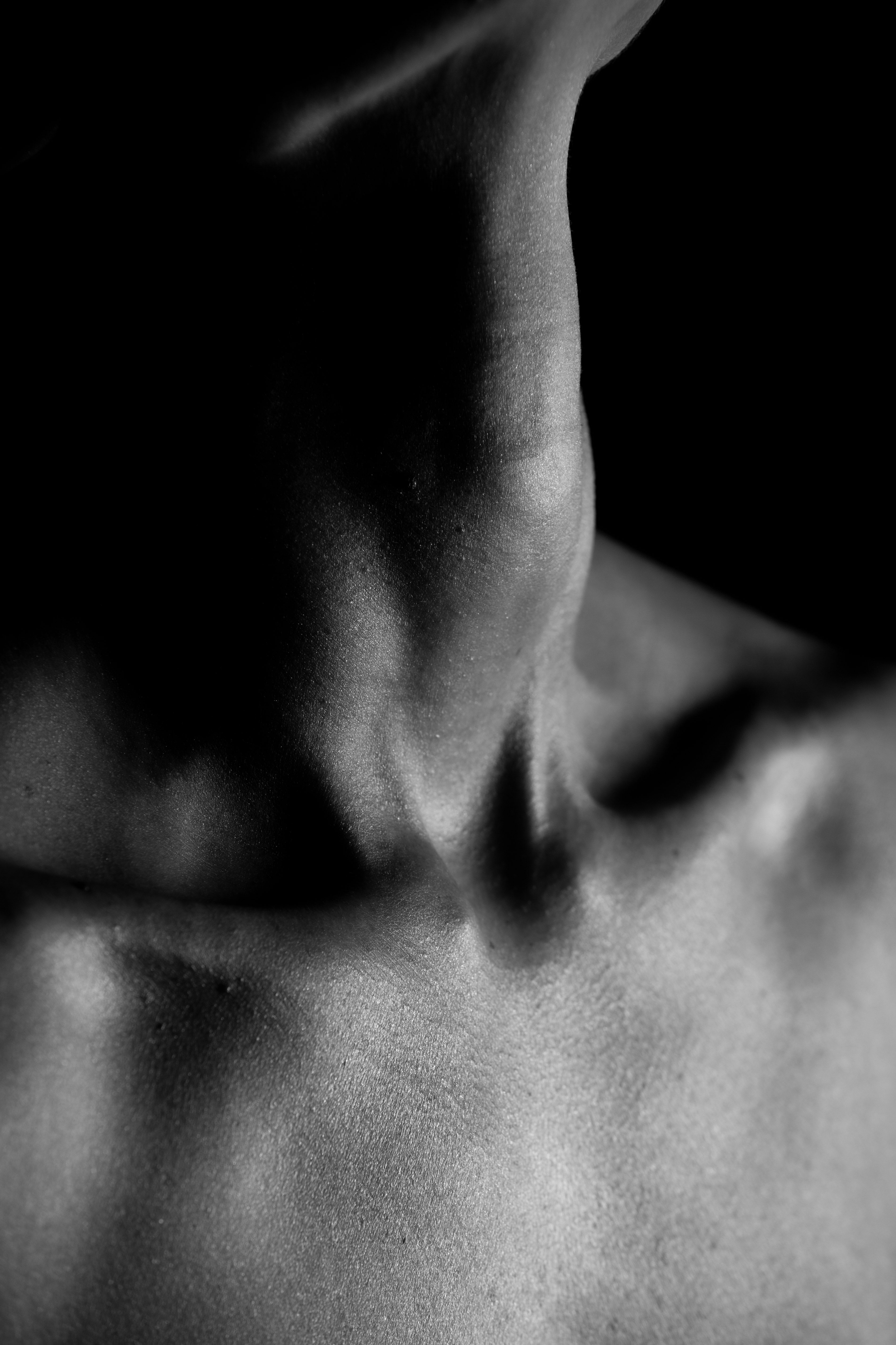 Collarbone