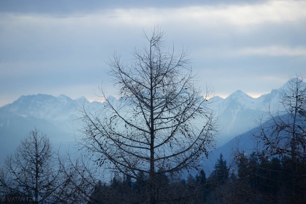 Summit