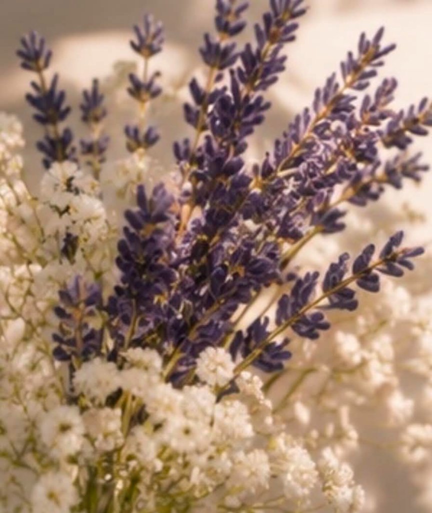 Lavender and baby's breath bouquet