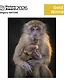 Picture Award Feature