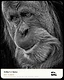 Global Lens Awards Feature