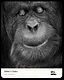 Global Lens Awards Feature