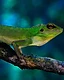 Harmony in Blue and Green