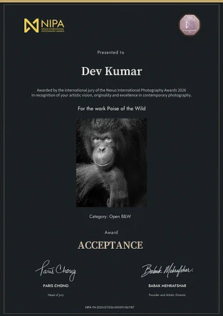 Poise of the Wild — Open B&W official acceptance certificate