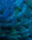 Dense field of iridescent peacock barbs in electric blue and deep teal, fanning into shadowed navy overlaps.